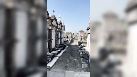 Strawberrykisses99 07 10 2022 2630205750 Did You See The News There Have Been Multiple Sightings Of A Vampire On The Loose In The