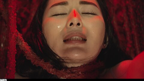Hentaied 23 11 17 Rikako Katayama Gelatinous Odyssey