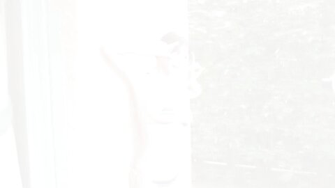 FRIDAY GOLD 2026.01.15 山田あい 2026最強のBODY