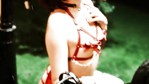 [Cosplay] Natsuko夏夏子 2022圣诞 [30P1V-491MB]