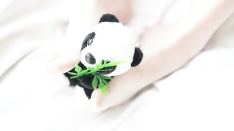 [Cosplay] Natsuko夏夏子 熊猫女仆 [64P1V-852MB]