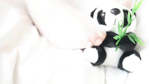 [Cosplay] Natsuko夏夏子 熊猫女仆 [64P1V-852MB]