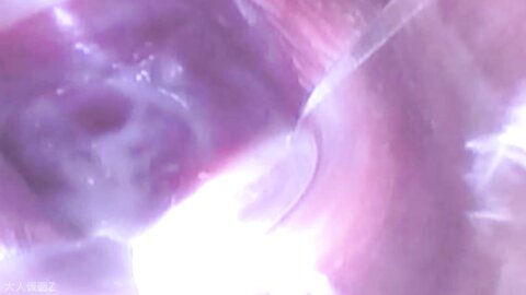 4843128 50 % de réduction ! [Première vidéo amateur] **pzzyxqx*z* Mirai (18 ans) Seul son petit ami est dans l`ignorance. Il s`agit d`une vidéo sous un angle différent montrant une fille vivant en province et
