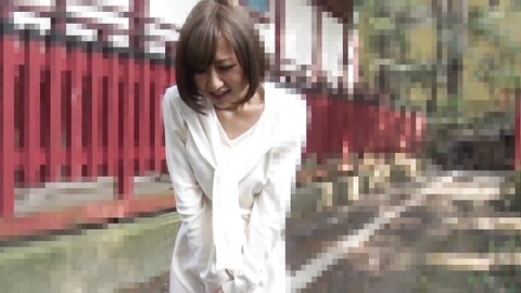 Cuties Japan Girls Scene3 Asian Stewardess Sucks His Cock On The Plane