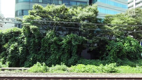 SNOS-088 I Want To Molest An Overexposed Morning Gym-goer In A Sports Bra While She's Sweaty Soa