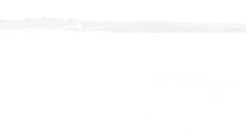 TSDS-42973