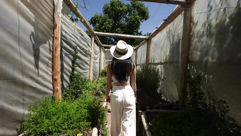 Sex And Wine  Lunas Journey