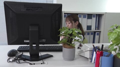 Miko Sakura Office Orgasms