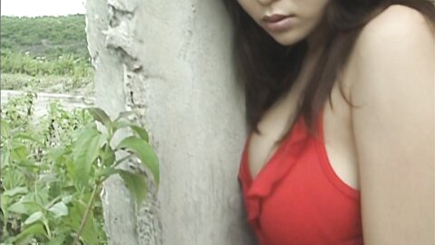 LCDV-90006-AI-960P