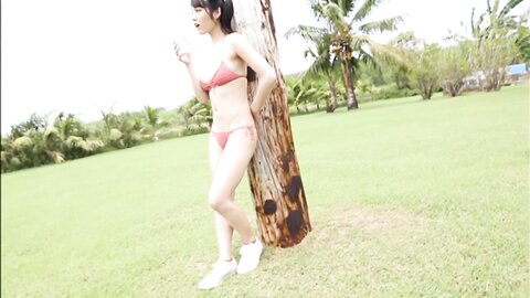TSDS-02-AI-960P