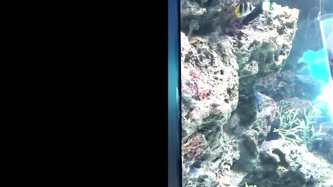 4875309 90% OFF! Shocking! **pzzyxqx*z*! Virtually no experience with men! A trendy beauty who went viral on social media gets off like crazy with a massive cock and raw sex!