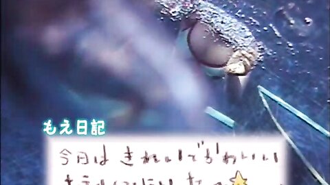 TRYL-1002 Moe Kirimura 桐村萌絵 - もえ日記