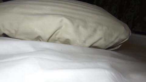 4883517 90% OFF! I hooked up with a shy, busty girl who’d only been with two guys on the very day I met her