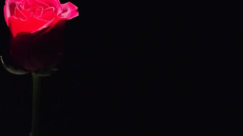 Seduction Rouge Video With Isiah Maxwell Lulu Chu Angel Youngs