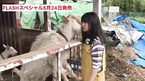FLASHスペシャル グラビアBEST2019年初夏号