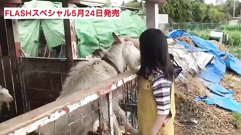 FLASHスペシャル グラビアBEST2019年初夏号