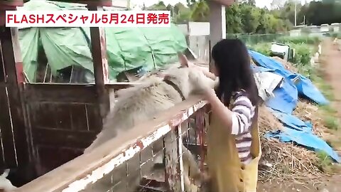 FLASHスペシャル グラビアBEST2019年初夏号
