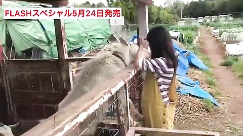 FLASHスペシャル グラビアBEST2019年初夏号