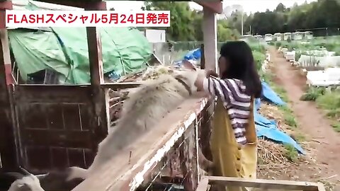 FLASHスペシャル グラビアBEST2019年初夏号