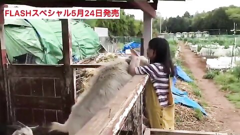 FLASHスペシャル グラビアBEST2019年初夏号