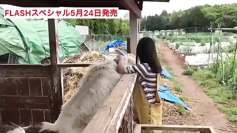 FLASHスペシャル グラビアBEST2019年初夏号