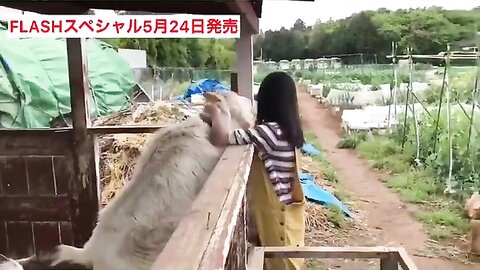 FLASHスペシャル グラビアBEST2019年初夏号