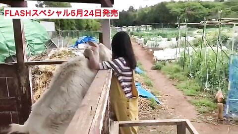 FLASHスペシャル グラビアBEST2019年初夏号