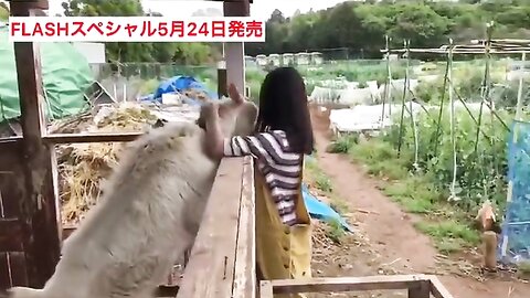 FLASHスペシャル グラビアBEST2019年初夏号