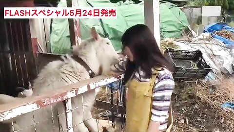 FLASHスペシャル グラビアBEST2019年初夏号