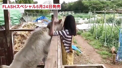 FLASHスペシャル グラビアBEST2019年初夏号