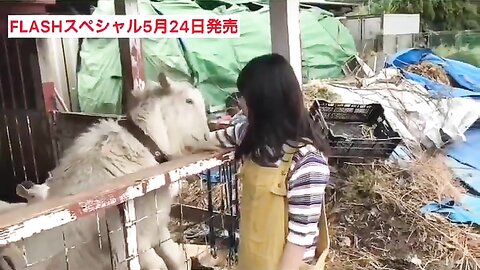FLASHスペシャル グラビアBEST2019年初夏号