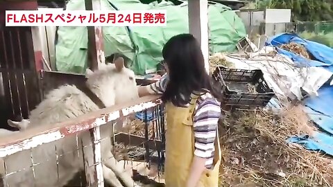 FLASHスペシャル グラビアBEST2019年初夏号