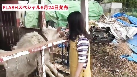 FLASHスペシャル グラビアBEST2019年初夏号