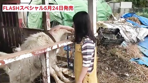 FLASHスペシャル グラビアBEST2019年初夏号