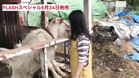 FLASHスペシャル グラビアBEST2019年初夏号