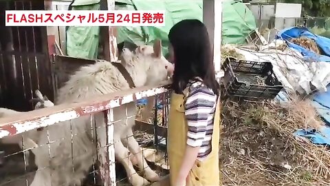 FLASHスペシャル グラビアBEST2019年初夏号