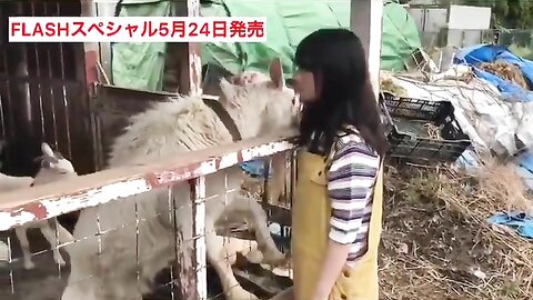 FLASHスペシャル グラビアBEST2019年初夏号