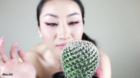 Cactus Day Not Porn Alicia Hebi