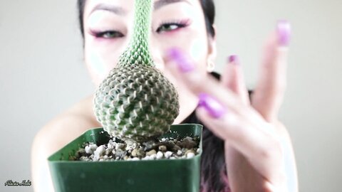 Cactus Day Not Porn Alicia Hebi
