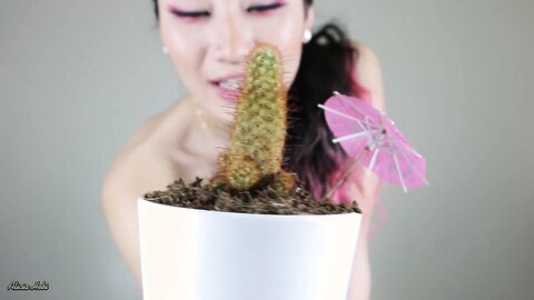 Cactus Day Not Porn Alicia Hebi
