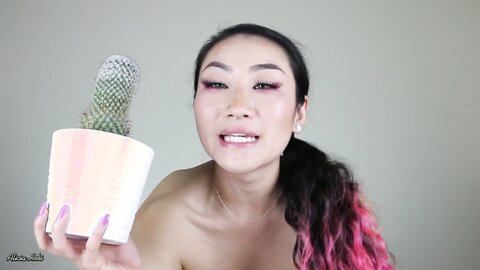 Cactus Day Not Porn Alicia Hebi