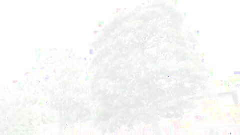 LINE-030 Kimishima Ako 君嶋あこ – スクぺた。SP