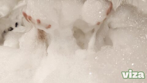 Masturbation In Bathtub Public Toilet Sex With Beautiful Girl Big Boob