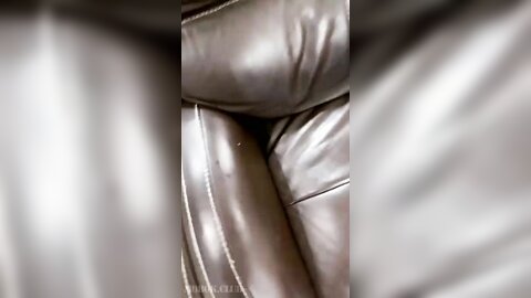 Quickie In The Sofa