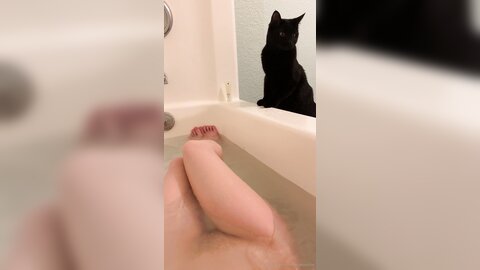 Asianasstro 21 04 2020 249236145 When One Of My Cats Wants To Join Me