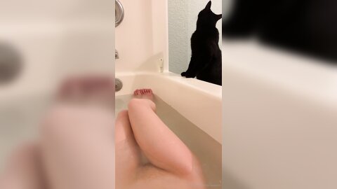 Asianasstro 21 04 2020 249236145 When One Of My Cats Wants To Join Me