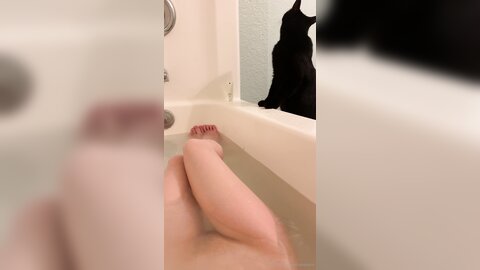 Asianasstro 21 04 2020 249236145 When One Of My Cats Wants To Join Me