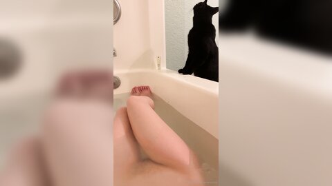 Asianasstro 21 04 2020 249236145 When One Of My Cats Wants To Join Me
