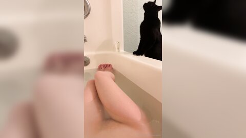 Asianasstro 21 04 2020 249236145 When One Of My Cats Wants To Join Me