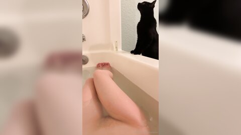 Asianasstro 21 04 2020 249236145 When One Of My Cats Wants To Join Me